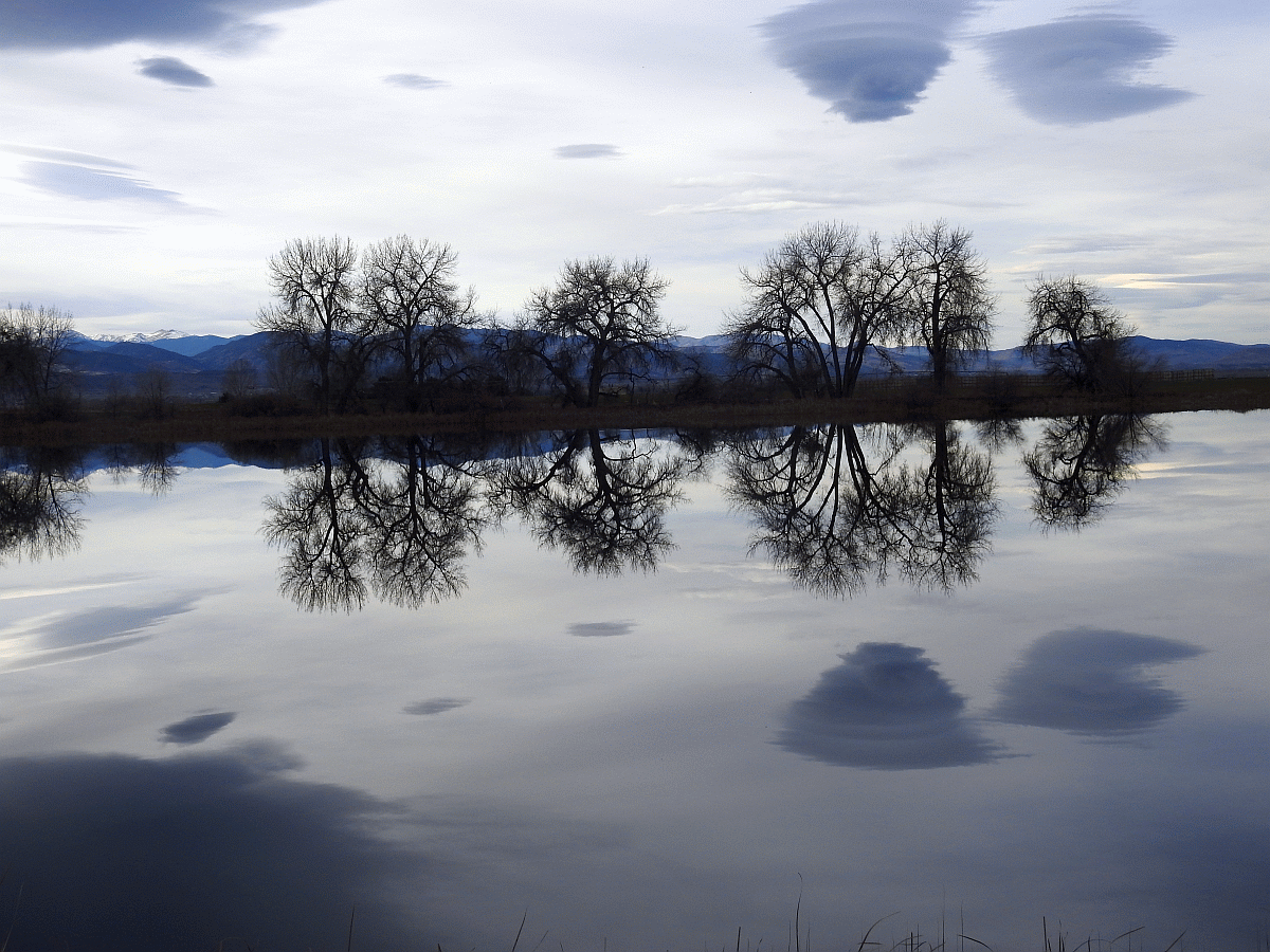 reflection1.gif